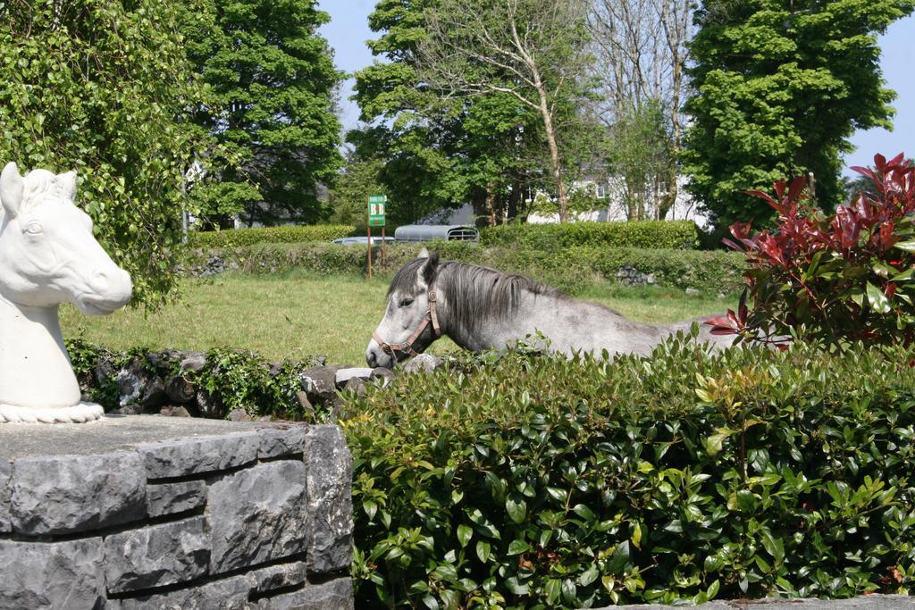 Carrowntober House B & B Oughterard Ngoại thất bức ảnh